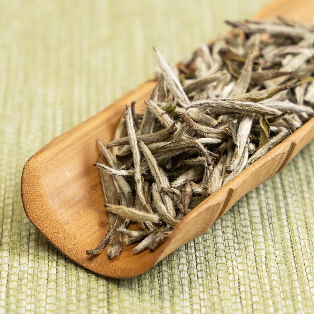 The history of white tea – LAPSANGSTORE