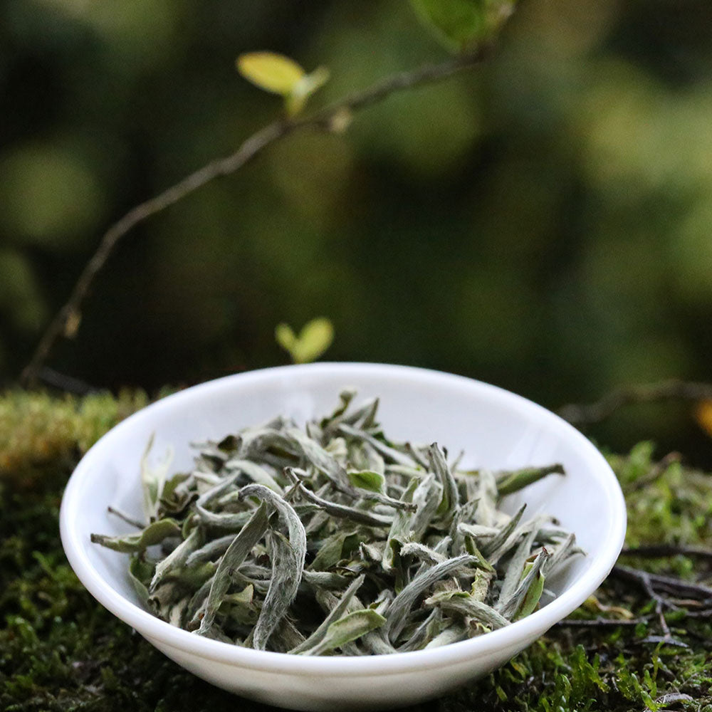 조여(鸟余)백호은침 60g 틴케이스[WT02]