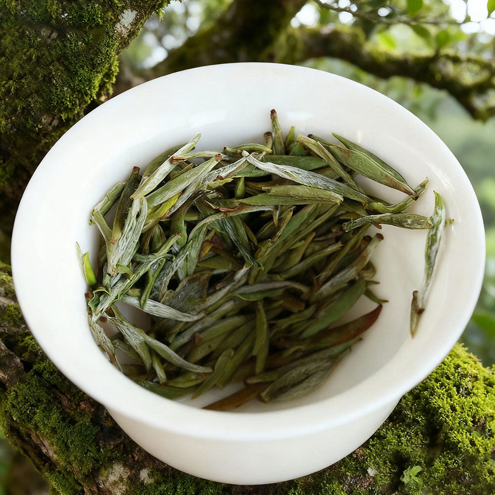 조여(鸟余)백호은침 60g 틴케이스[WT02]