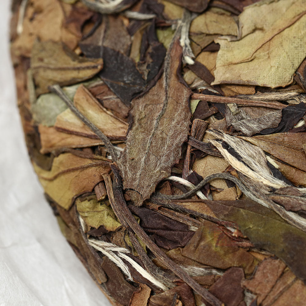  무상(无相)송압 차병 수미300g[WT03]