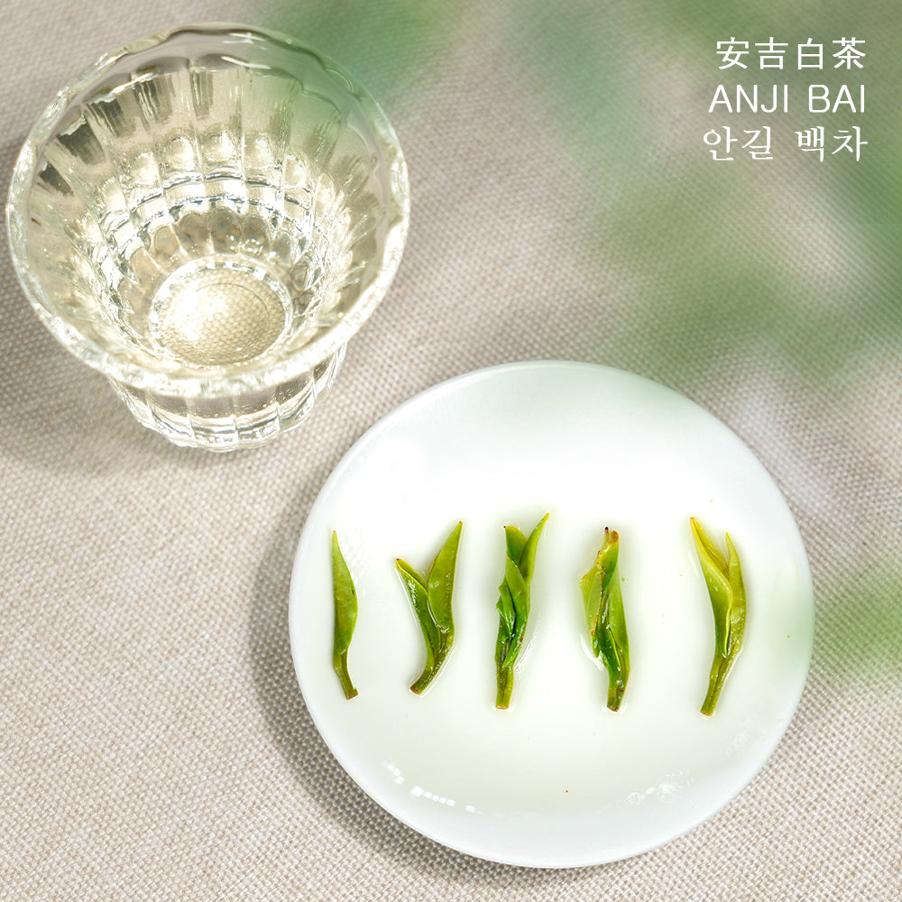 2025 安吉白茶明前绿茶50g袋装