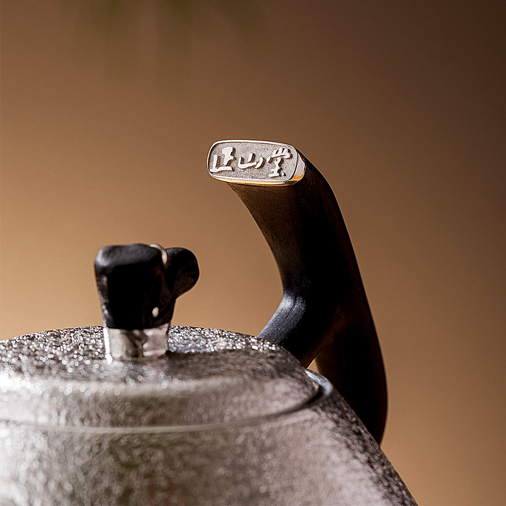 Zhengshan Shipiao Pure Silver Teapot-Pine Spring Reflecting the Moon[Ag999]