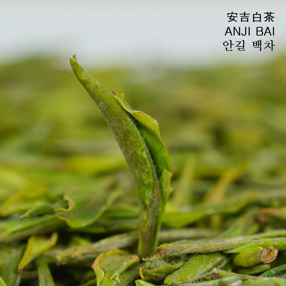2025 安吉白茶明前绿茶50g袋装