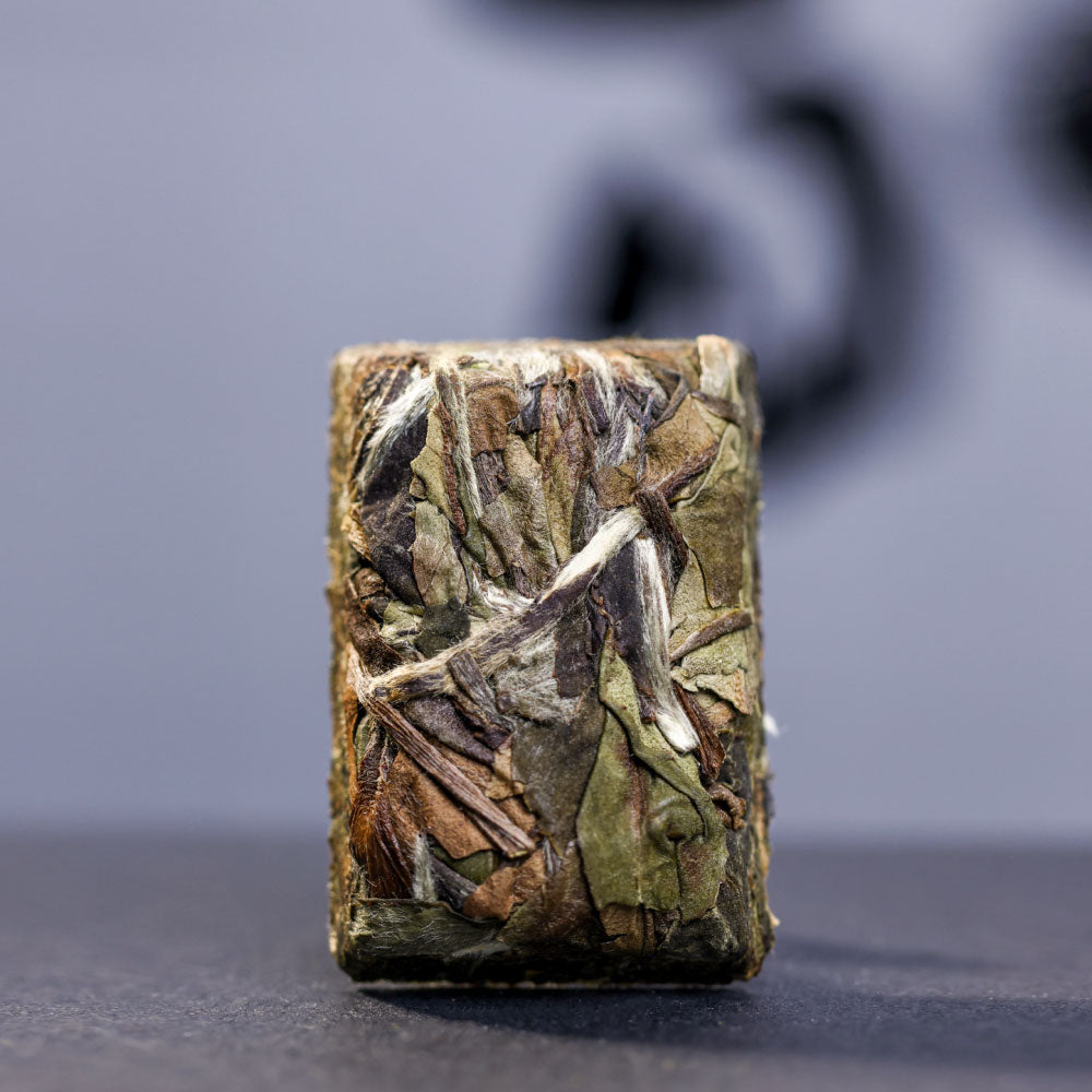 2019 ChenYun Shou Mei陈韵寿眉 FuDing  White Tea Cake 50g[LP11]