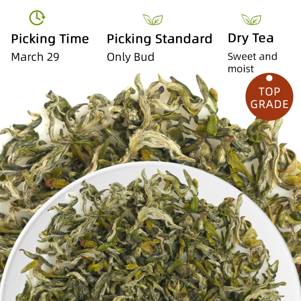 2024 Mengding Ganlu 蒙顶甘露 Green Tea 50g Pouch[GT08]