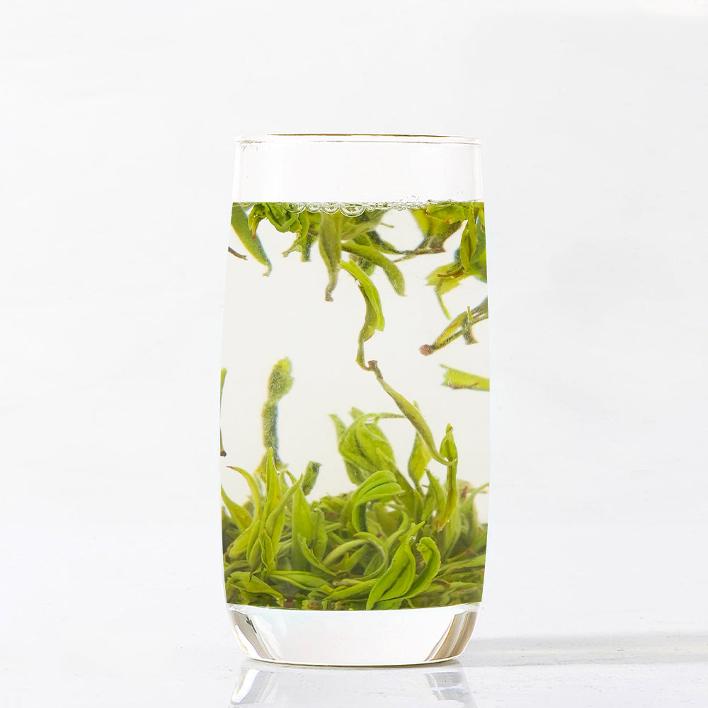 【緑茶コレクションG】10種類緑茶 ミニバッグコレクション