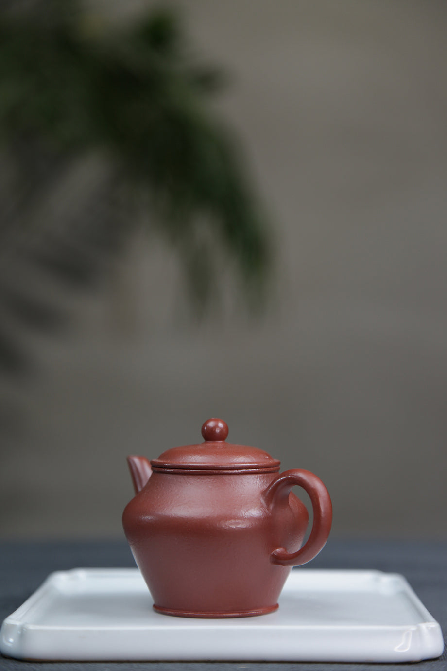 20241224205058_460x@2x.jpg?v=