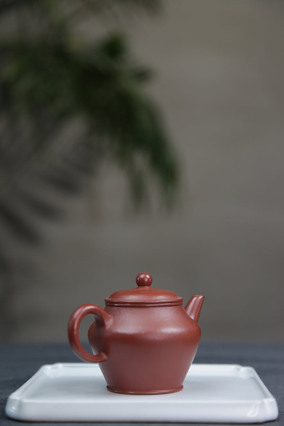 20241224205102_460x@2x.jpg?v=