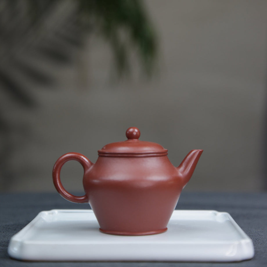 20241224205105_460x@2x.jpg?v=