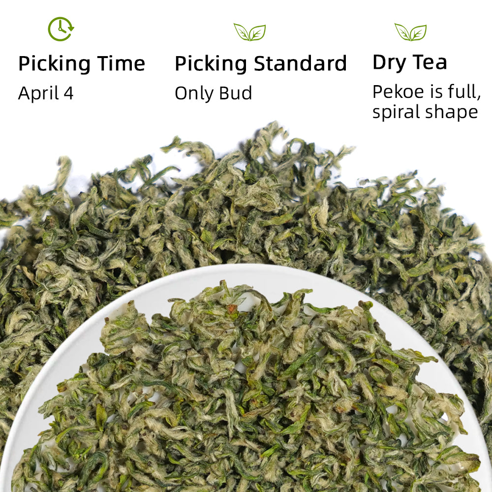 2024 Top Grade Biluochun碧螺春 Green Tea[GT02]