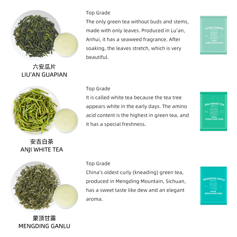 【样泡合集G】10种中国名优绿茶品鉴合集[SP07]