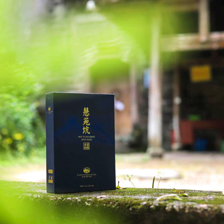 「암어」혜원갱 노총수선(慧苑坑老枞水仙)우이암차