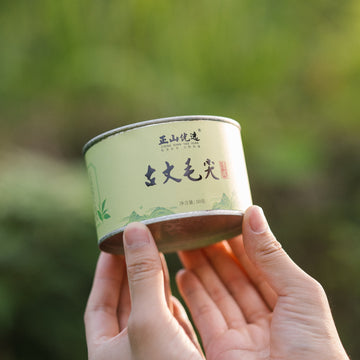 New GreenTea – LAPSANGSTORE
