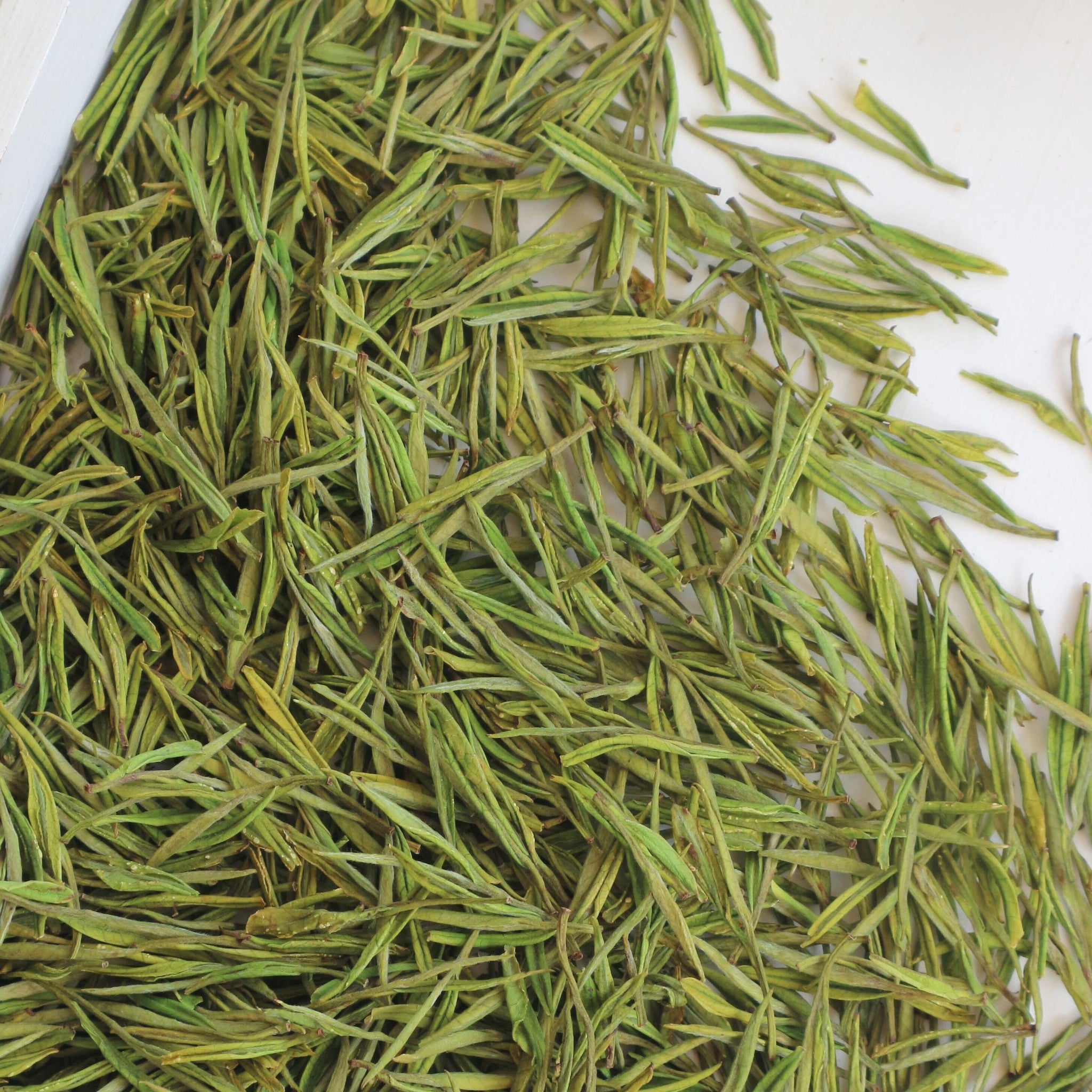 [预售]2026 安吉白茶兰花型绿茶125g袋装[GT05]