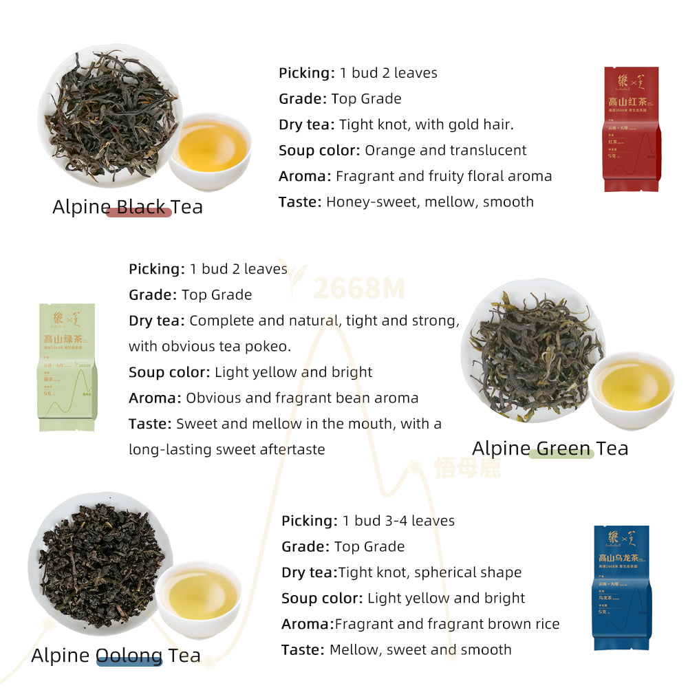 5 Flavors 2668m Yunnan Alpine Ecology Tea Collection[LP02]