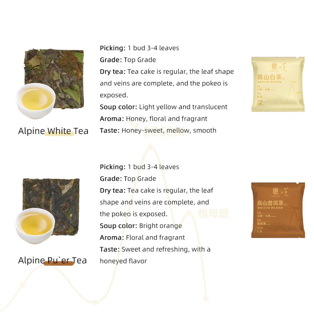 5 Flavors 2668m Yunnan Alpine Ecology Tea Collection[LP02]