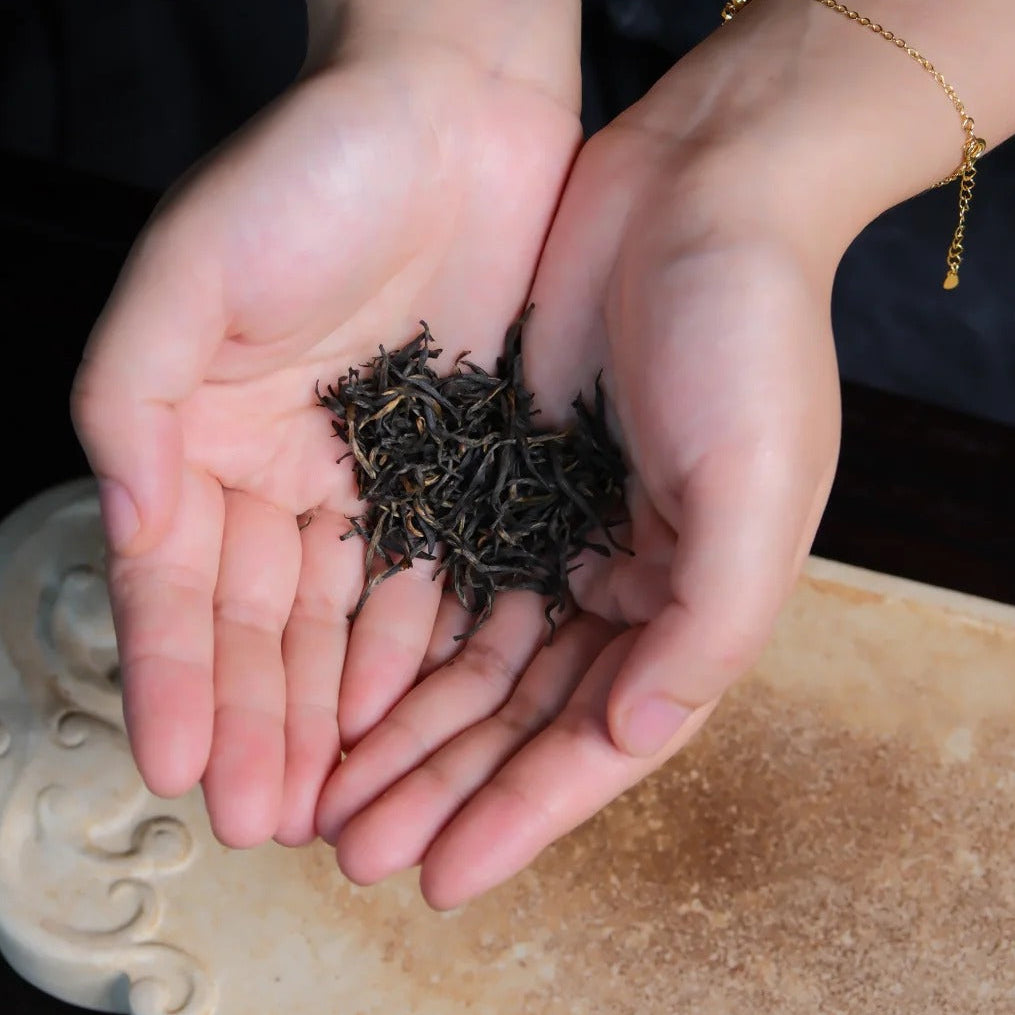 Century-old Bush 百年老枞 Black Tea 3g Sachet[ZST02]