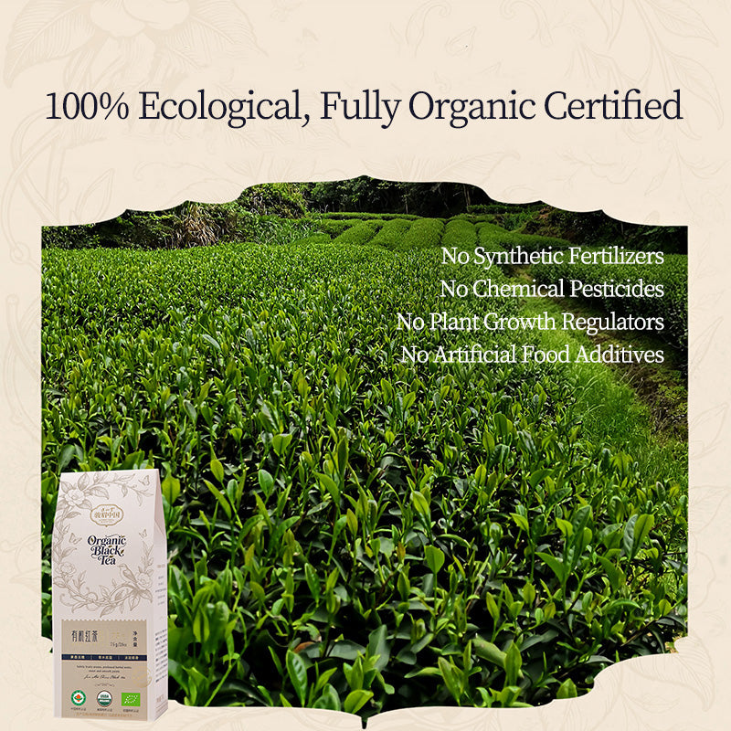 Organic Junmei Black Tea 75g Pouch[JM29]