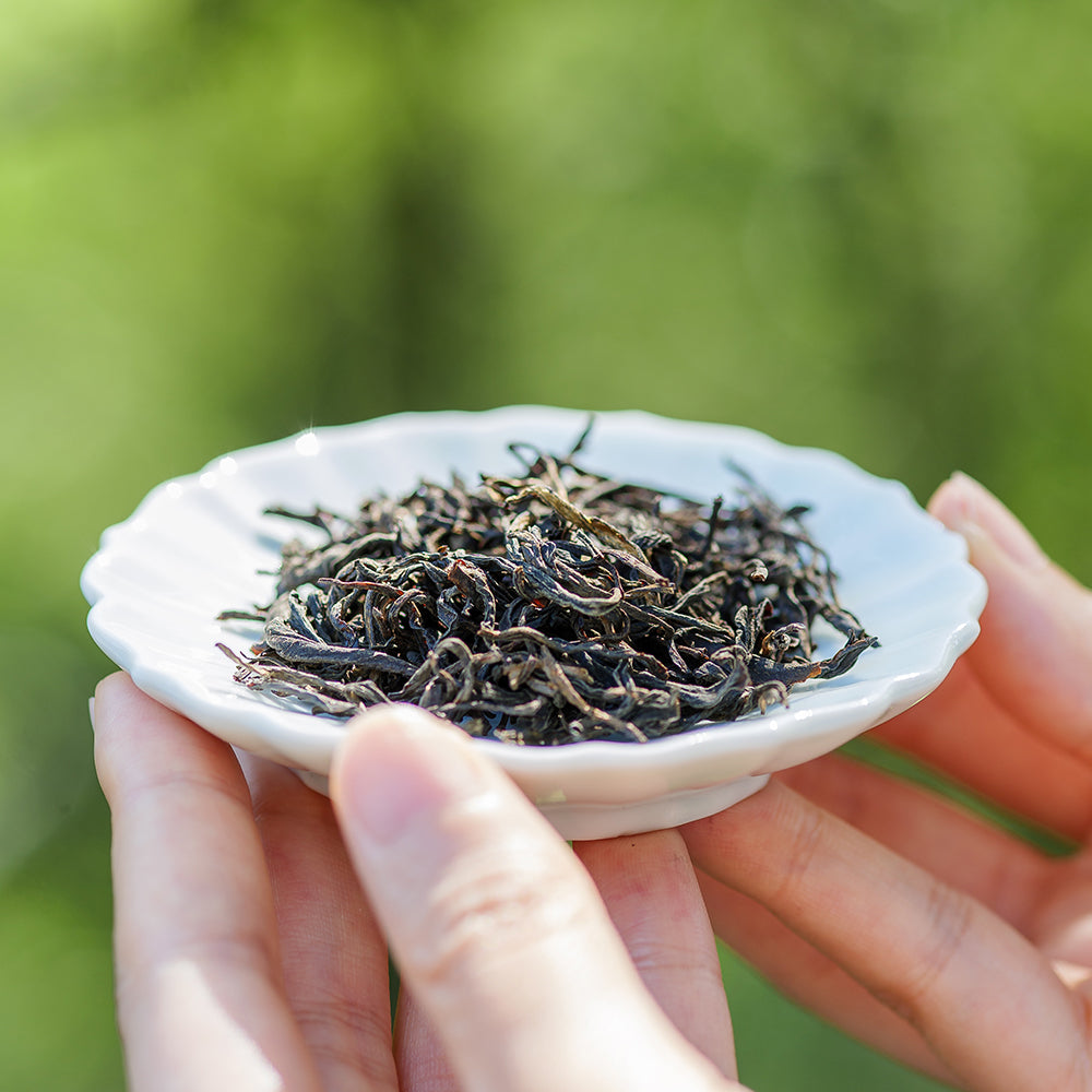 骏眉红茶· 四川广元熊猫竹香红茶50克罐装