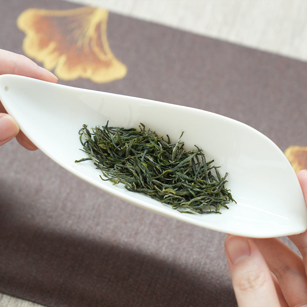 2023 Top Grade Xinyang Maojian信阳毛尖 Green Tea 50g Tin[GT13]