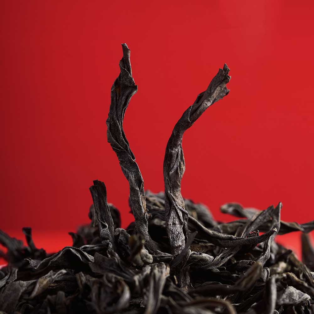 Shui Xian Orchid Aroma Wuyi Rock Tea[RT07]