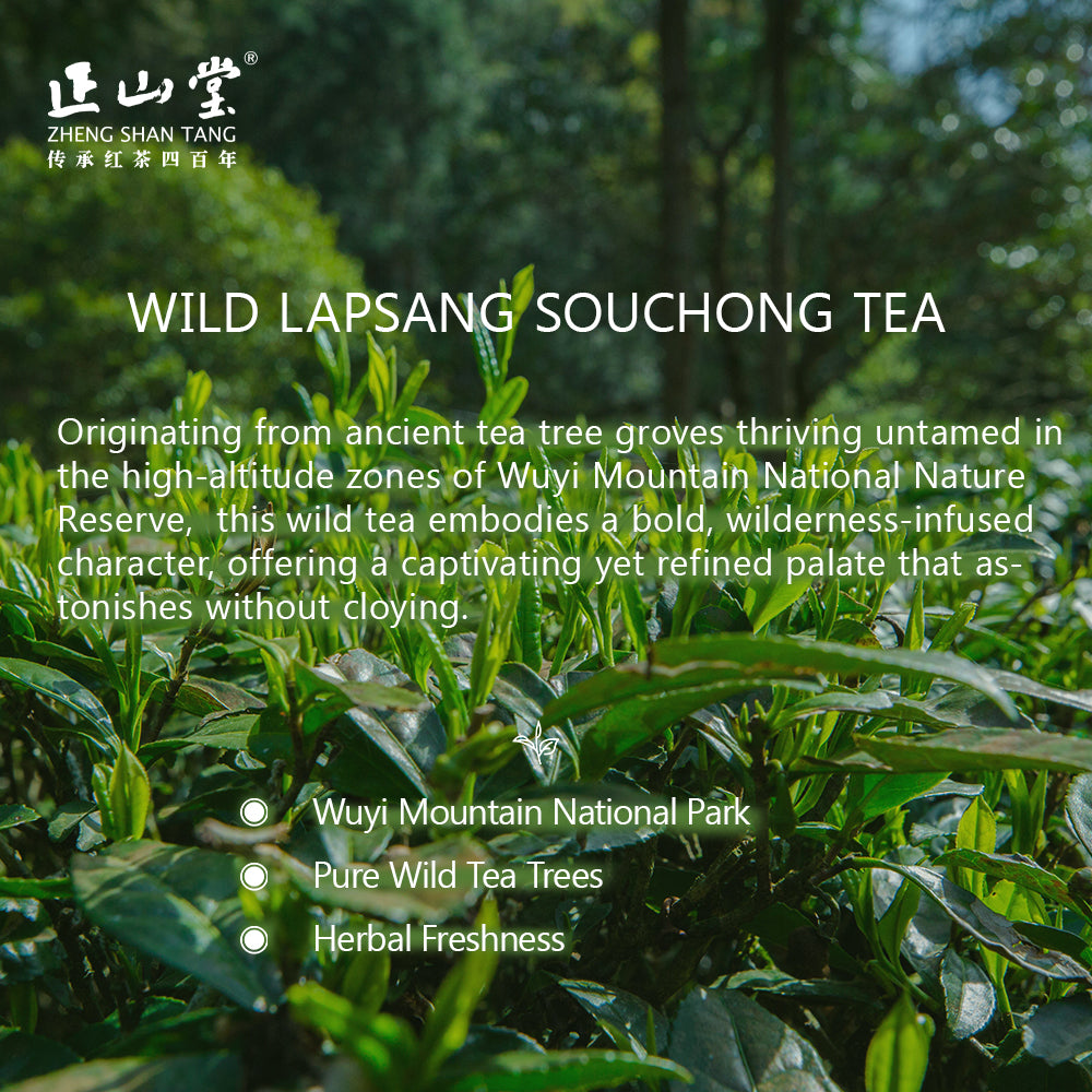 Lapsang Souchong Wild Black Tea 50g Tin[ZST06]