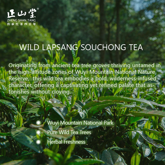 Lapsang Souchong Wild Black Tea 50g Tin正山小种野茶[ZST06]