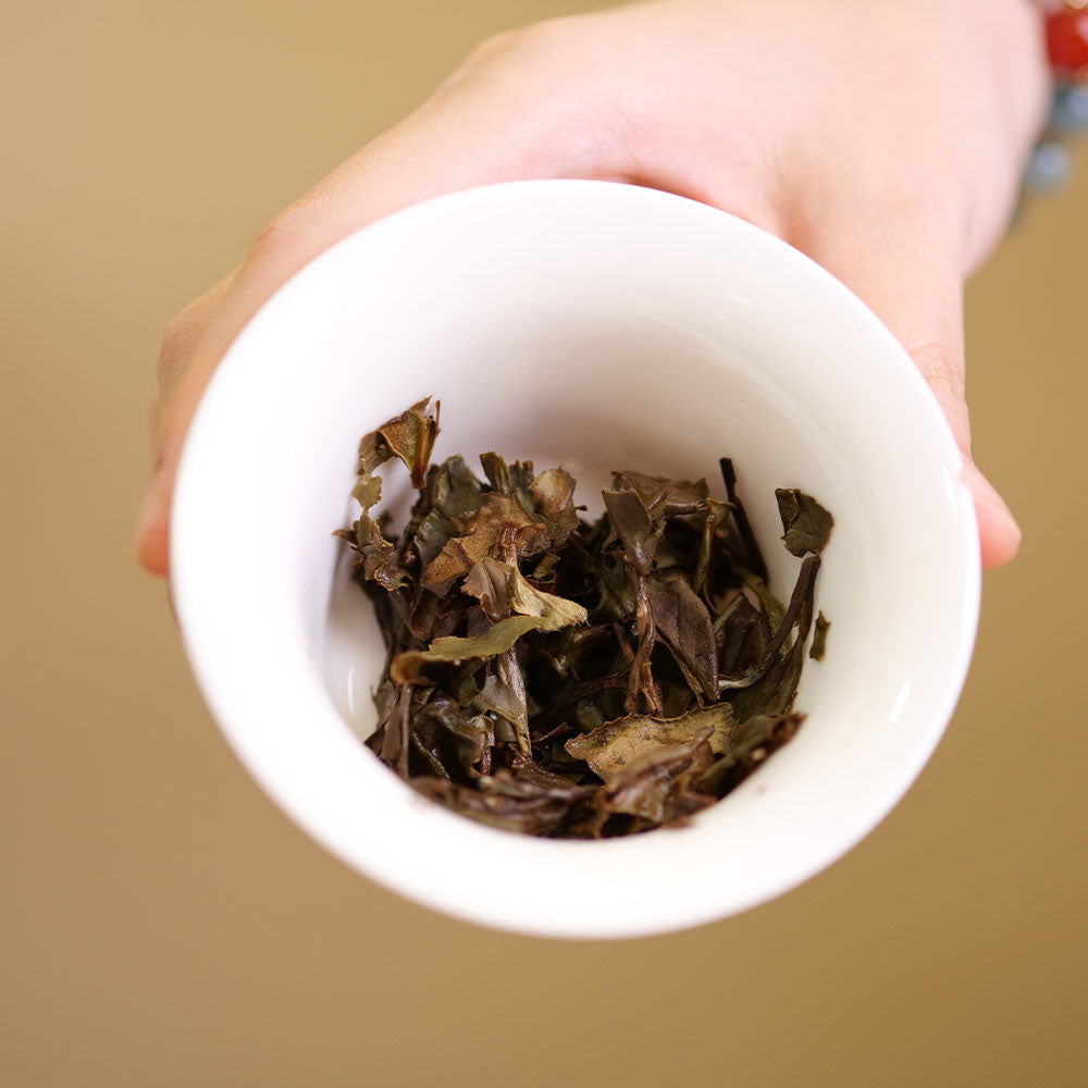 2019 ChenYun Shou Mei陈韵寿眉 FuDing  White Tea Cake 50g[LP11]