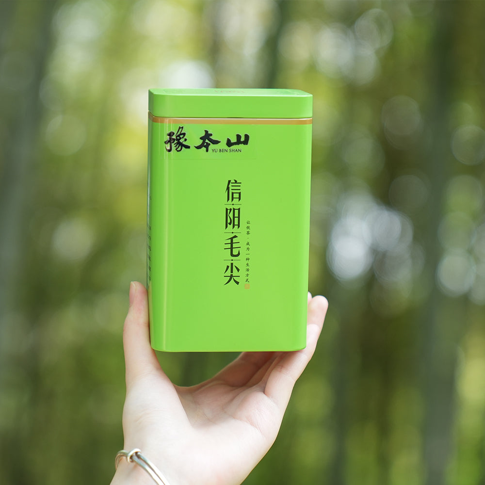 [Pre-sale]2024 Top Grade Xinyang Maojian信阳毛尖 Green Tea[GT13]