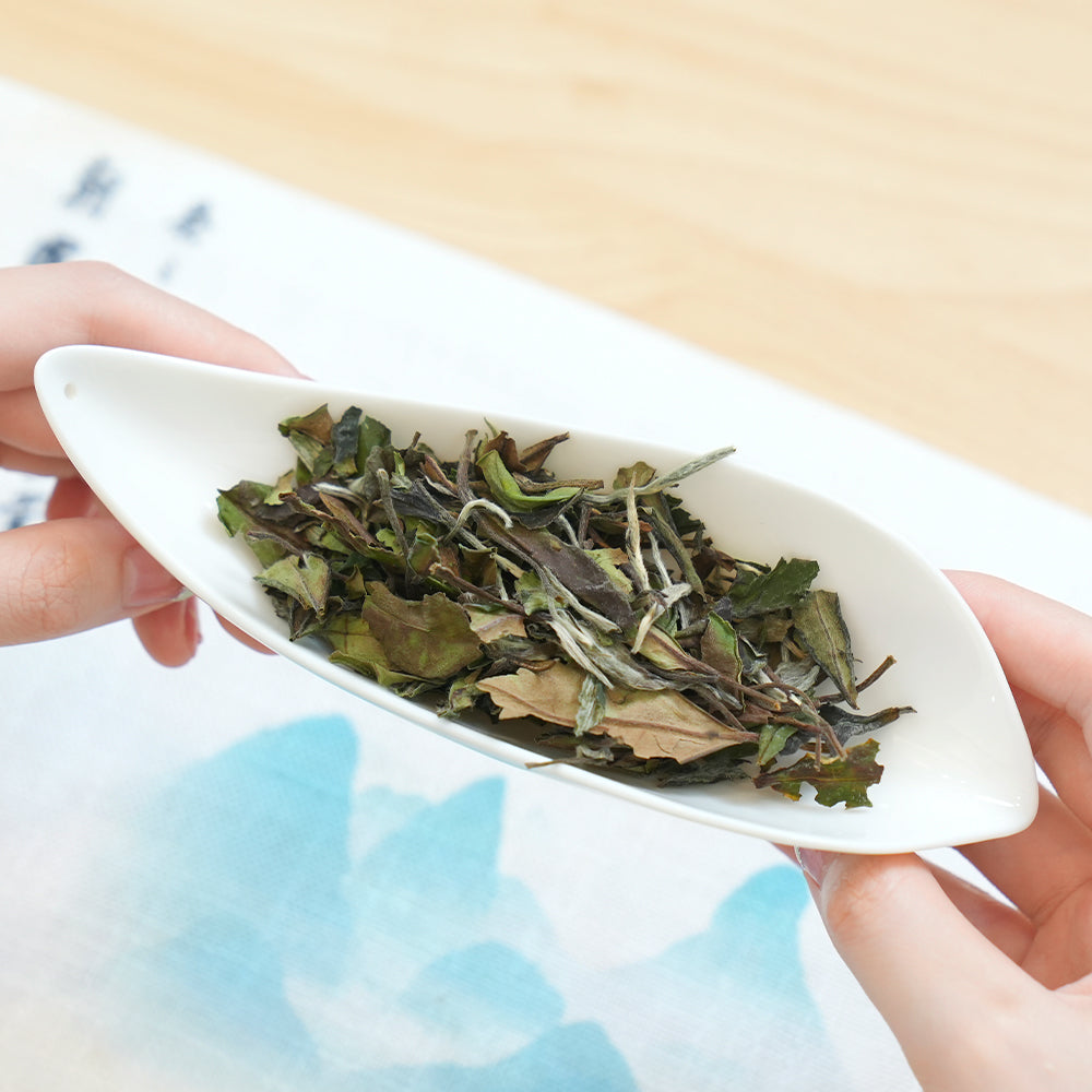 【Tea Sampler W】Featured 5 Standard Flavor Fu Ding White Tea 10 Bags Collection 51.5g[WT00]