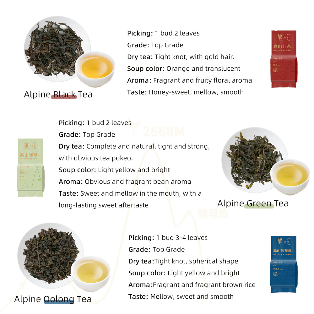 【Tea Sampler H】5 Kinds 10 Flavors High Mountain Organic Loose Leaf Tea Collection[SP11]