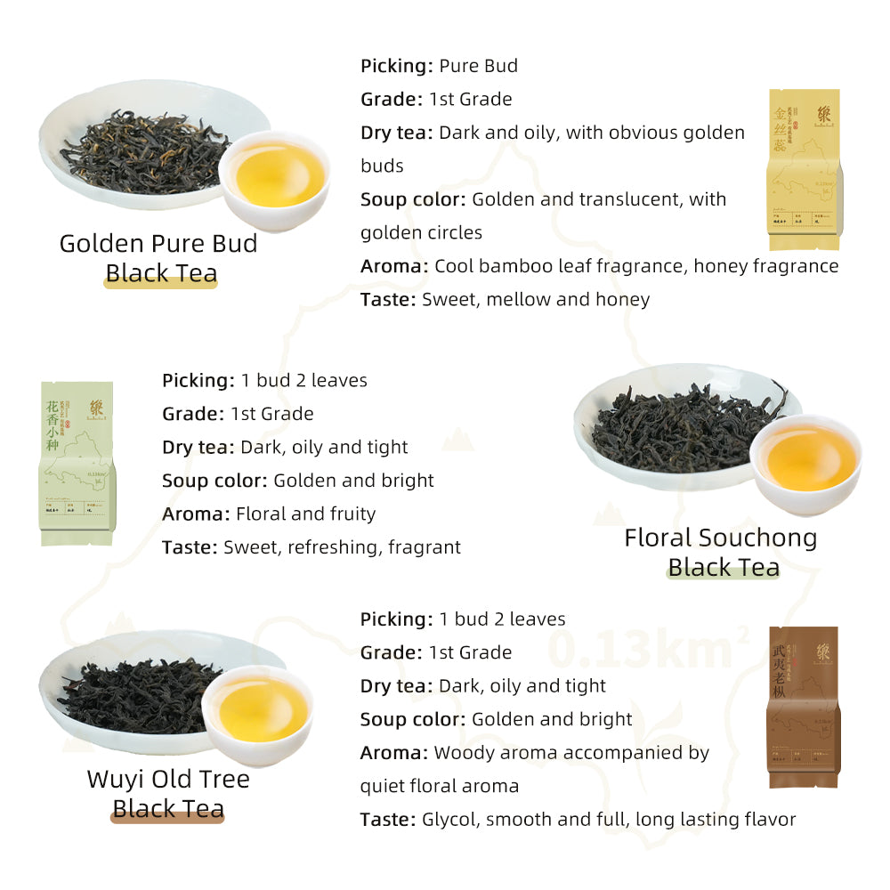 【Tea Sampler H】5 Kinds 10 Flavors High Mountain Organic Loose Leaf Tea Collection[SP11]