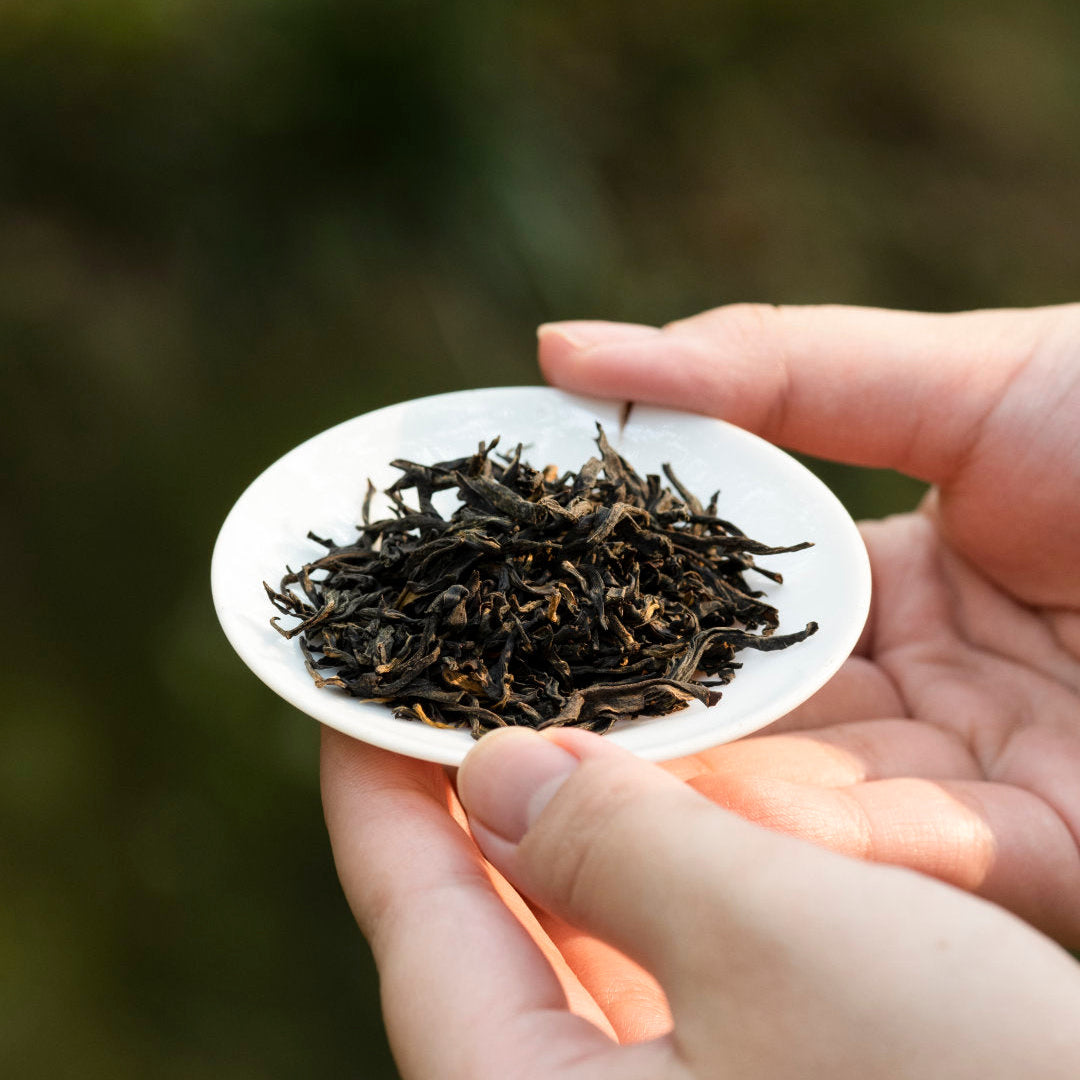 JunMei China Tibet西藏 Snow Mountain Black Tea 75g Tin[YZ03]