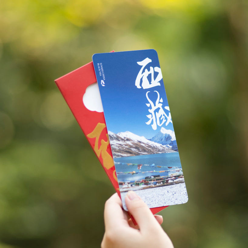 JunMei China Tibet西藏 Snow Mountain Black Tea 75g Tin[JM14]