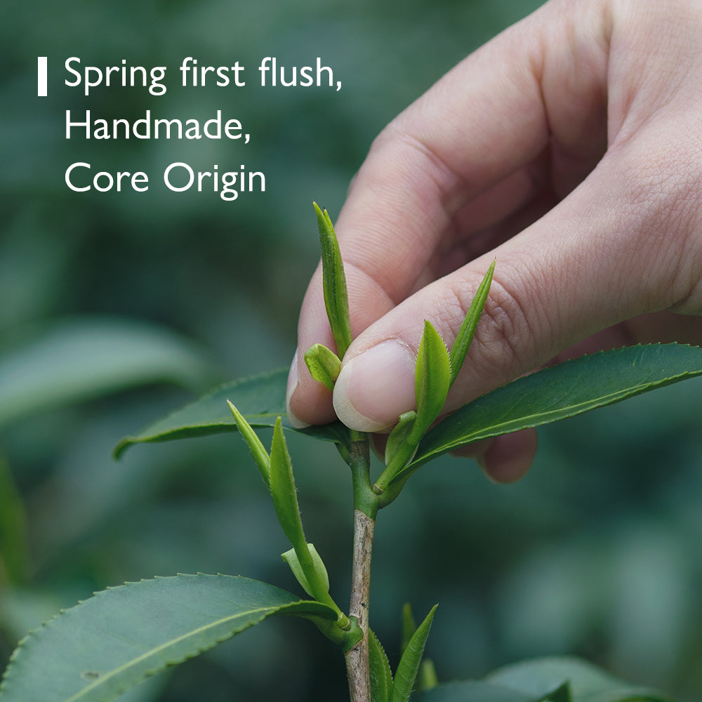 조여(鸟余)백호은침 60g 틴케이스[WT02]