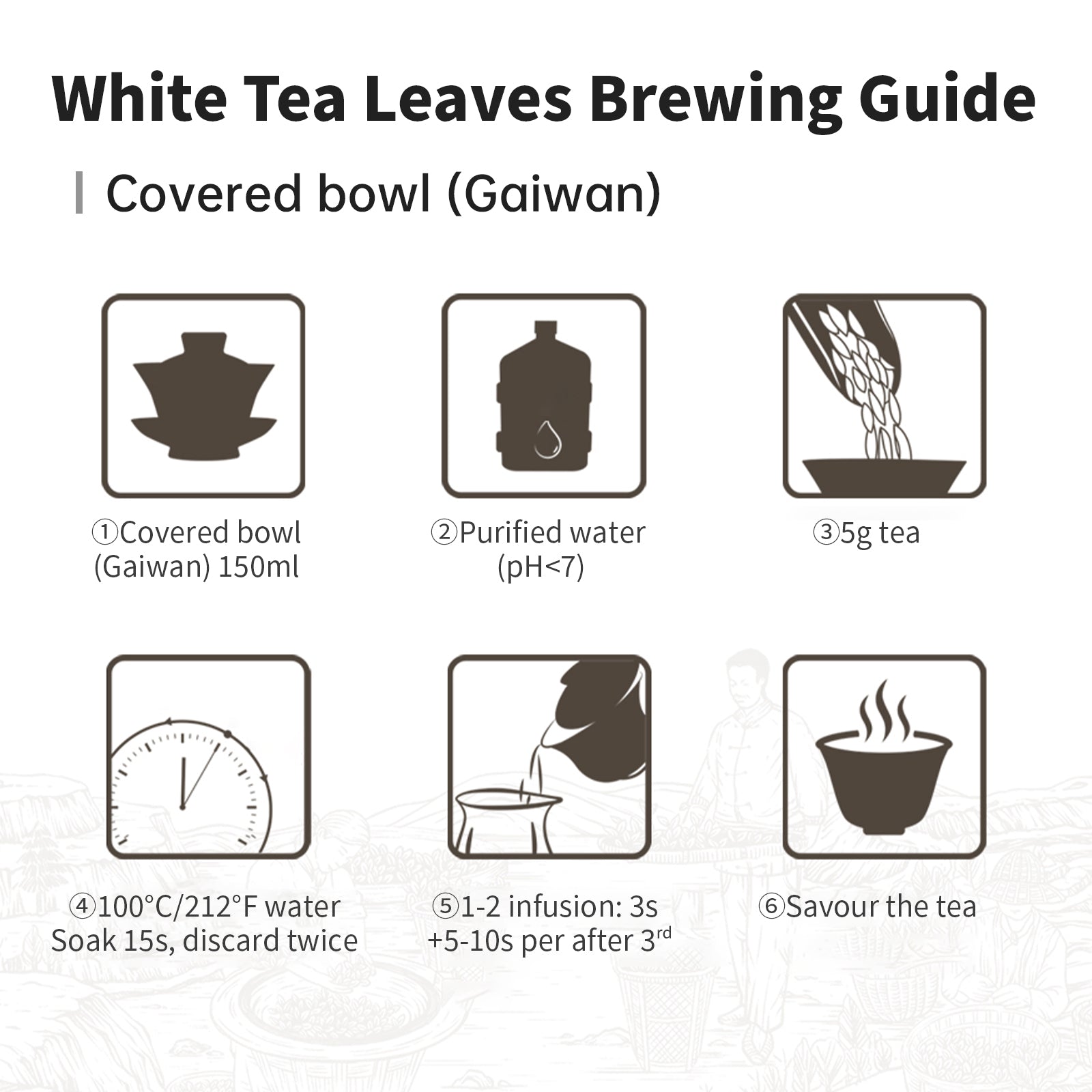 白茶叶茶冲泡指南