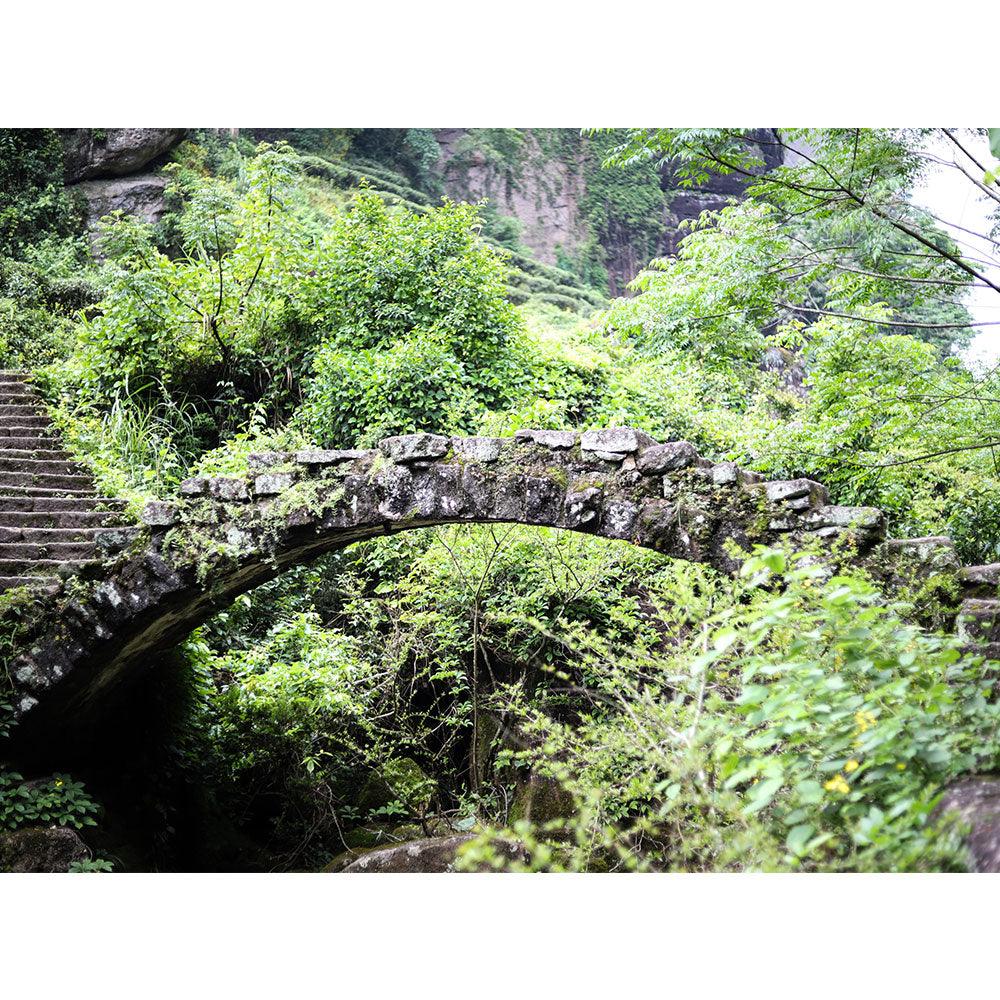 「Yanyu」Brew the Mountain Series・Huiyuan Pit Old Fir Narcissus（慧苑坑老枞水仙 ）Wuyi Rock Tea - Lapsangstore