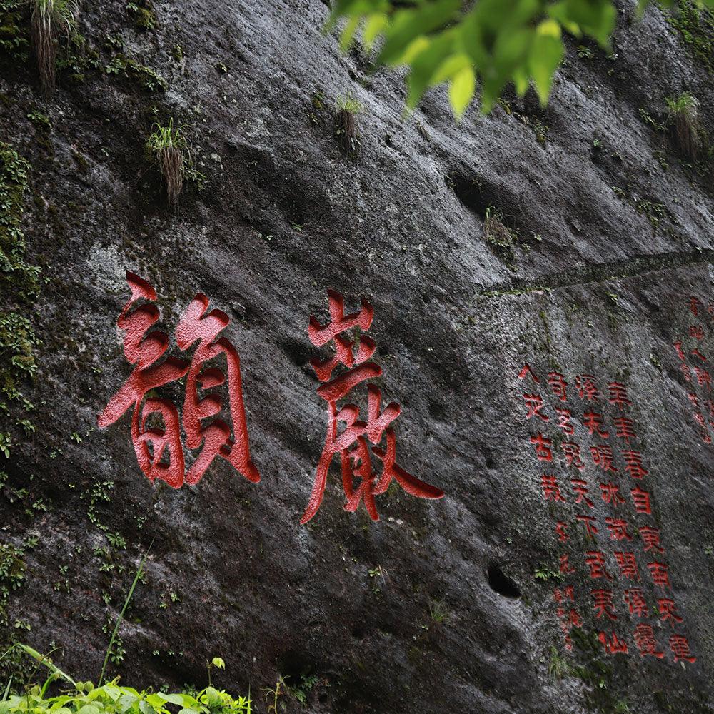 「Yanyu」Wit and Wisdom Series・Dragon Nest Valley Wuyi Rock Tea - Lapsangstore