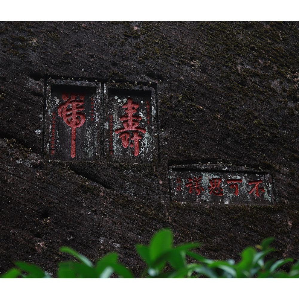 「Yanyu」Wit and Wisdom Series・Wide Moon Wuyi Rock Tea - Lapsangstore