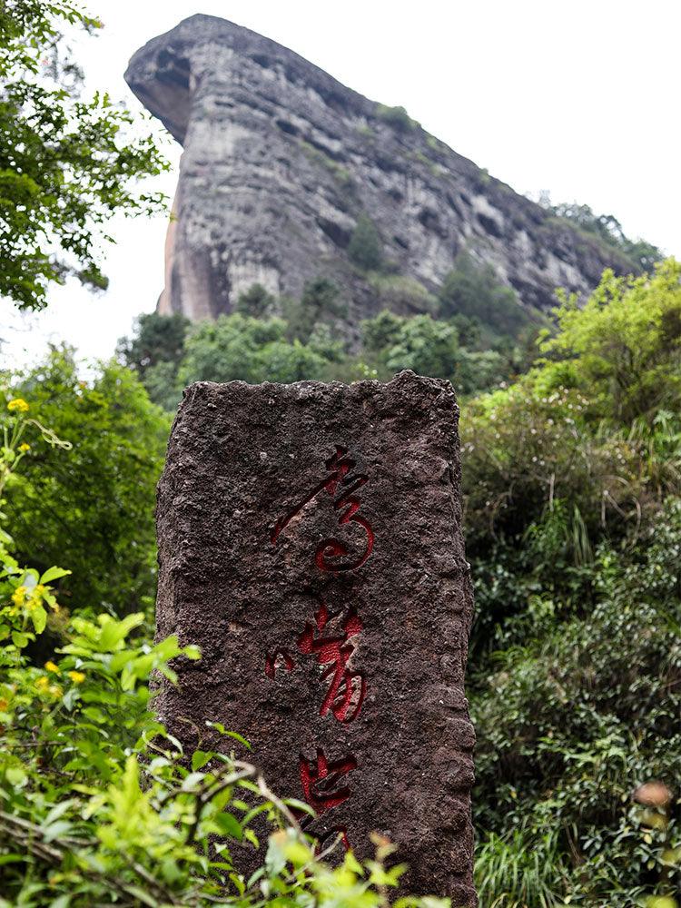 「Yanyu」Brew the Mountain Series・Huiyuan Pit Old Fir Narcissus（慧苑坑老枞水仙 ）Wuyi Rock Tea - Lapsangstore