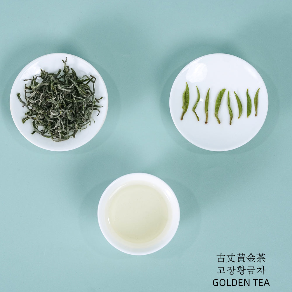2023 Top Grade GuZhang Golden Tea 古丈黄金茶 Green Tea 4g*6 Mini Bags[GT08]