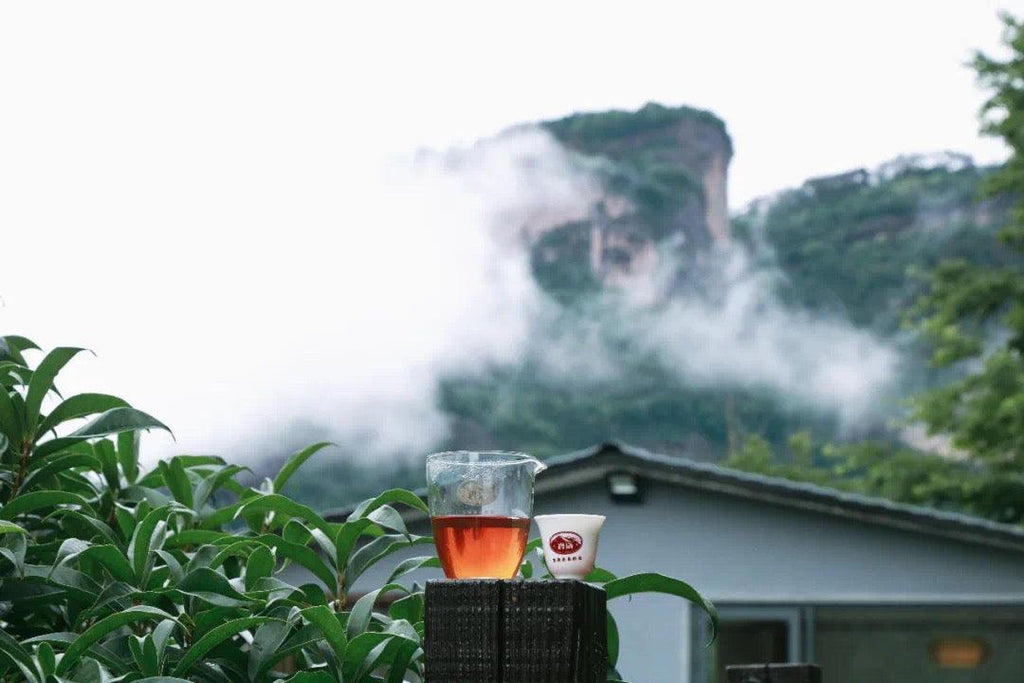 「Yanyu」Three and Two Series・Longevity Wuyi Rock Tea - Lapsangstore