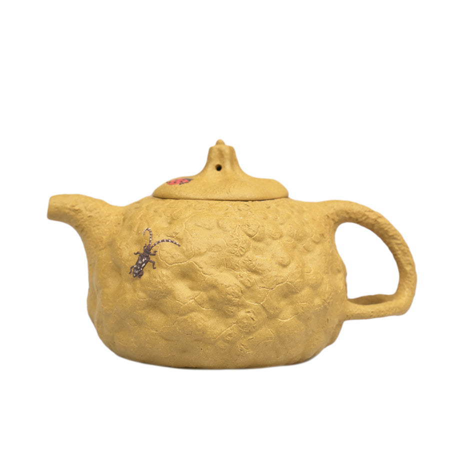 2_1b9d8f6a-6241-4323-b203-