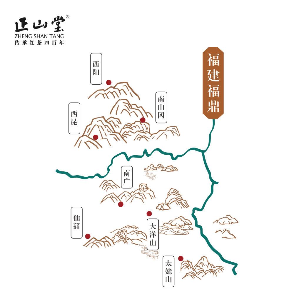 Zheng Shan Tea Series Mini Bag - Lapsangstore