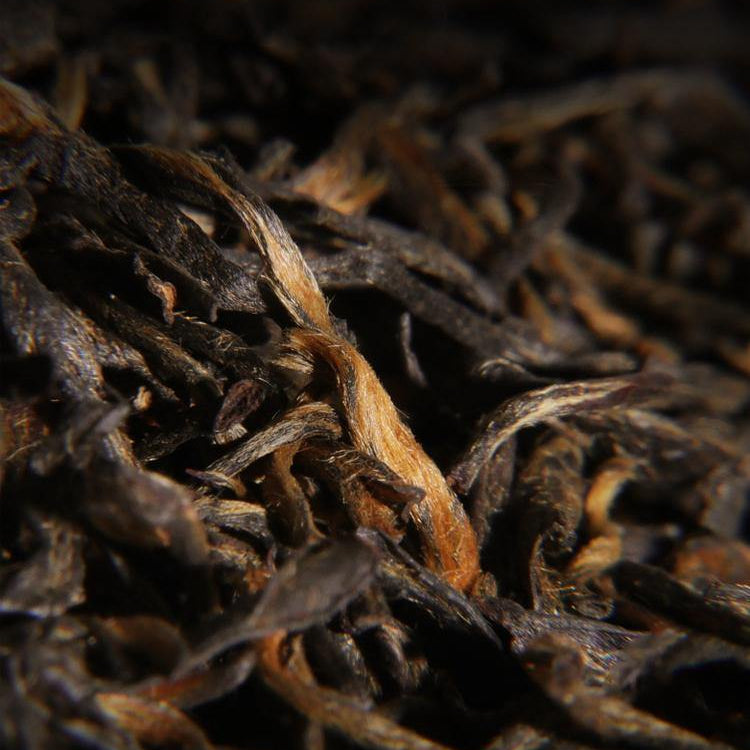 Aged Fir Narcissus Black Tea - Lapsangstore