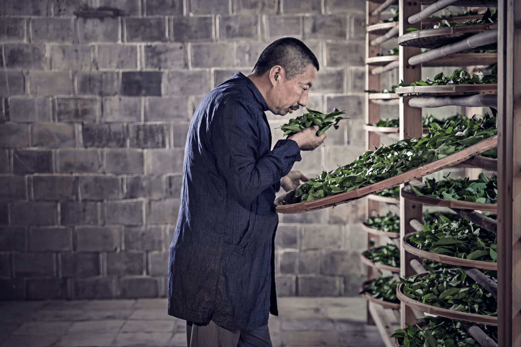 Rock Tea-Traditional Da Hong Pao - Lapsangstore